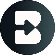Brisk Teaching Logo