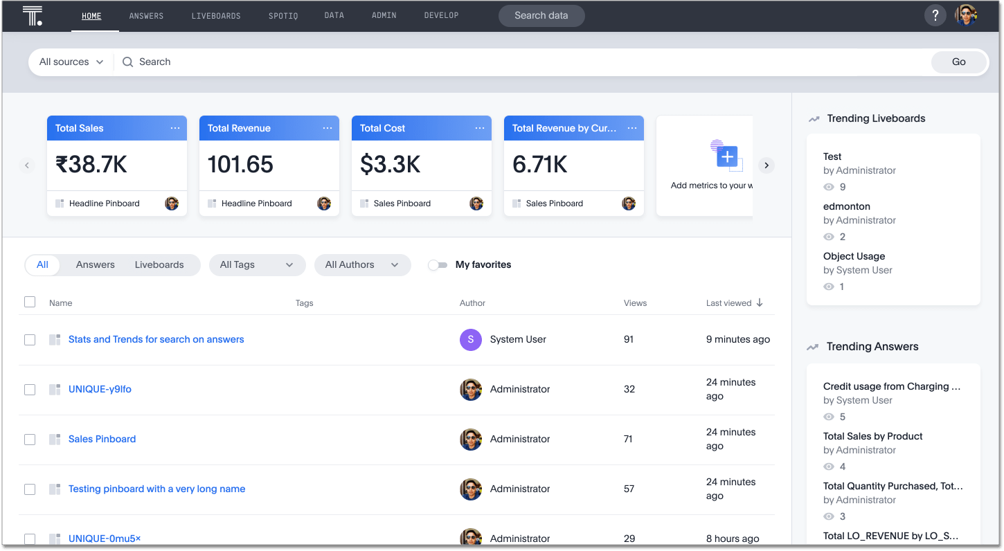 Thoughtspot Interface Screenshot